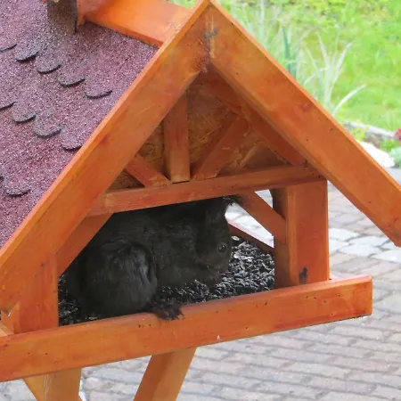 Breternitz Διαμέρισμα Steinach (Thuringia)