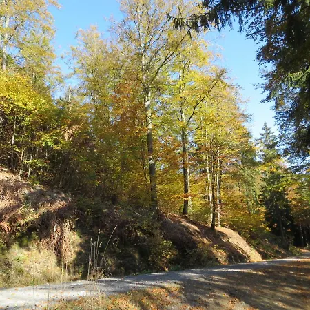 Διαμέρισμα Breternitz Steinach (Thuringia)