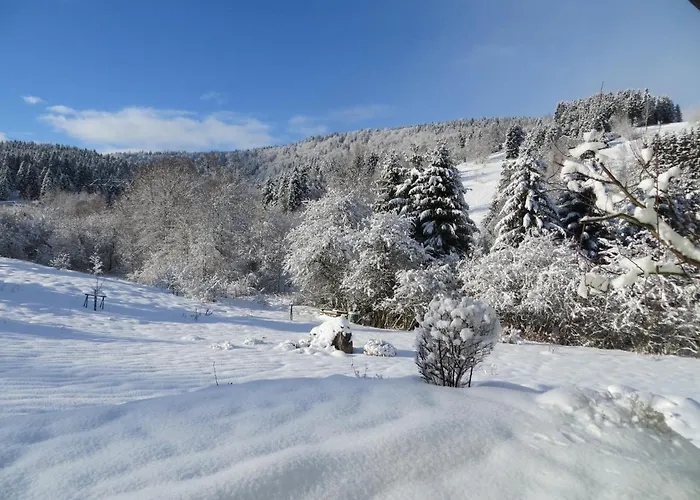 Breternitz アパート