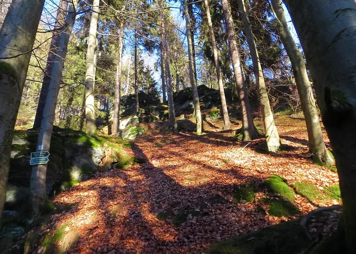 Breternitz * Steinach (Thuringia)