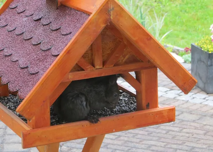 Breternitz アパート シュタイナハ