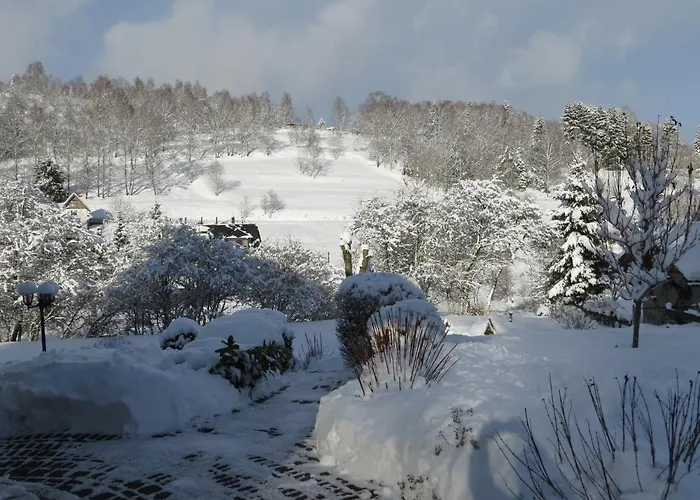 Breternitz Daire Steinach (Thuringia)