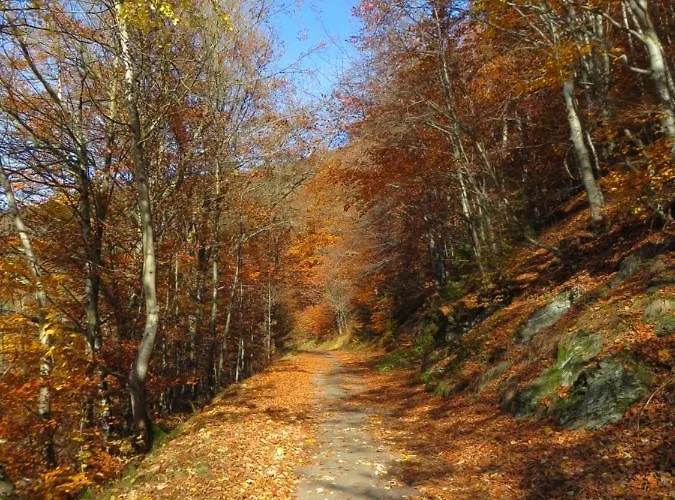 Breternitz シュタイナハ